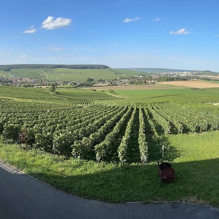 Au Coeur Du Terroir Champenois Villa Chavot-Courcourt Ngoại thất bức ảnh